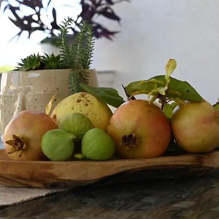 Апартаменты Osrecki Малинска